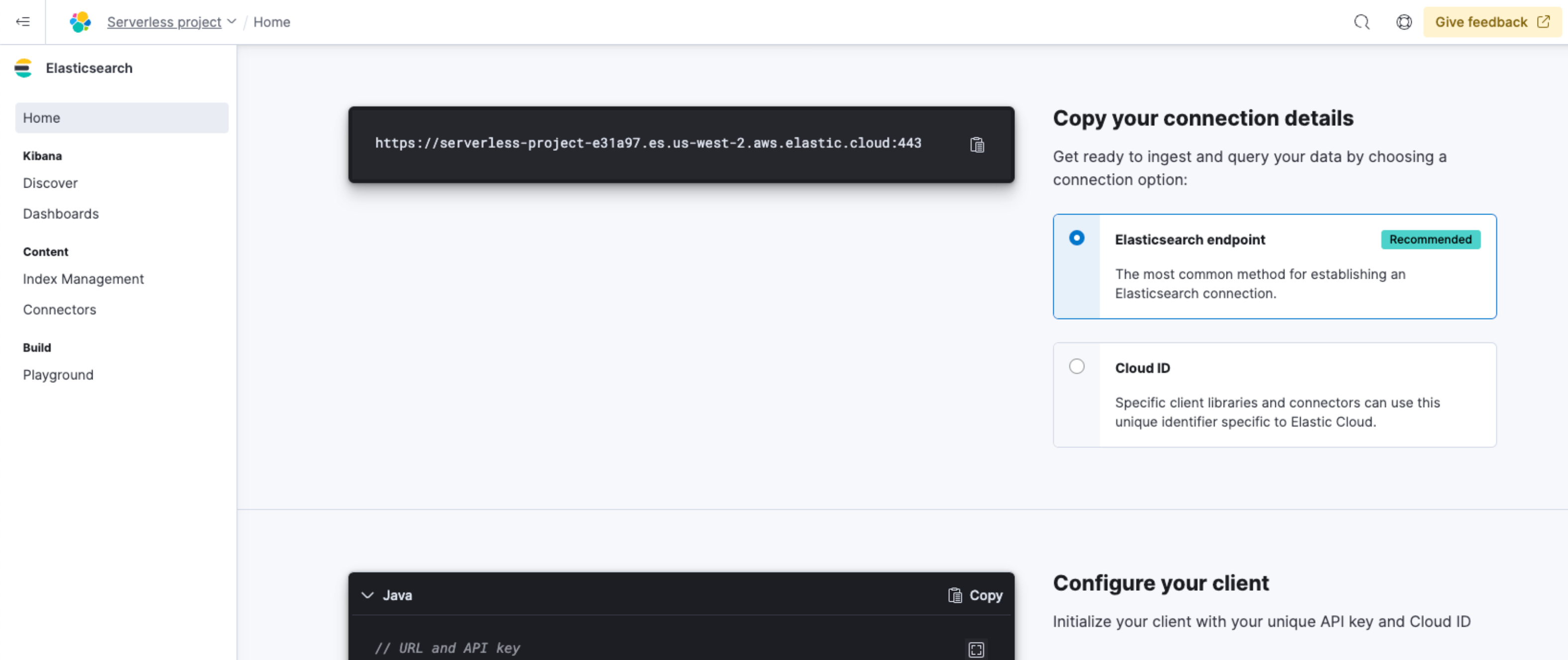 serverless connection details